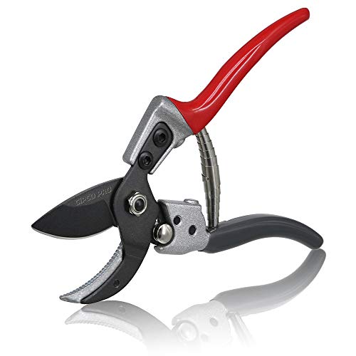 Find The Best Secateurs For Arthritic Hands Reviews & Comparison Katynel