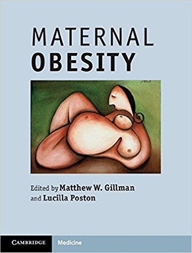 Maternal Obesity view 2