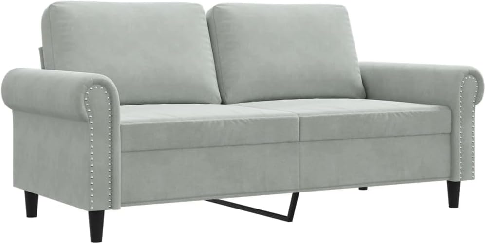 2-Seater Sofa Light Grey Velvet (100% Polyester) Living Room Furniture