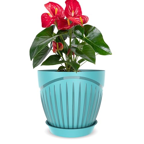 Image of ELUVIA Plastic Plant Pots with Drainage Holes and Trays - Set of 5 (6 Inch) - Minimalist Decorative Indoor Flower Pots for Living Room, Balcony & Office Garden (Blue)