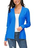 Blueberry Muffin DIY Costume Guide: Sweet Strawberry Shortcake Cosplay 5 Blue Cardigan Sweater