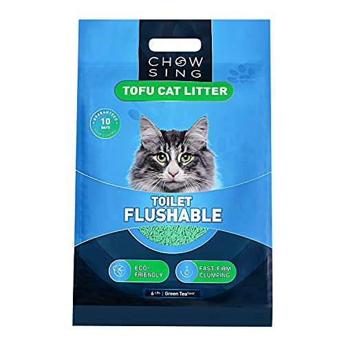 Top 10 Cat Litter No Dust of 2022 Katynel