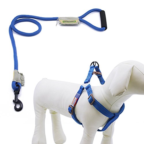 Touchdog Collare Cane Guinzaglio Cane Set Collare