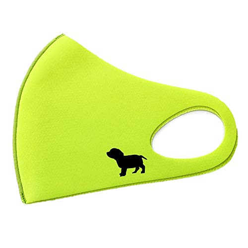 [luz] { }XN  |Cg _bNXth VGbg R ₷  킢 􂦂KO-03 t@bV