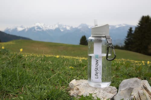 Image of LifeStraw Go Water Filter Bottle with 2-Stage Integrated Filter Straw for Hiking, Backpacking, and Travel