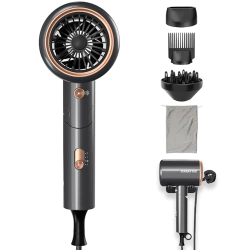 Oxsaytee Professional Hair Dryer 2400W Ionic Blow Dryer with Diffuser Foldable Mini Travel Design Storage Bag and Bracket for Home Salon (Bright Gray)