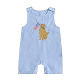 DNOMAID YZARC 4th of July Baby Boy Outfit Flag Dog Embroidery Romper Plaid Sleeveless Jumpsuit One Piece Memorial Day Clothes (Sky Blue, 0-3 Months)