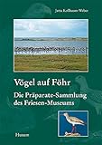 Vögel auf Föhr: Die Präparate-Sammlung des Friesen-Museums. Begleitheft zur naturkundlichen Abteilung des Dr. Carl Haeberlin-Friesen-Museums Föhr, ... Wyk auf Föhr: Neue Folge) - Jutta Kollbaum-Weber 