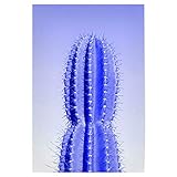 artboxONE Poster 75x50 cm Reise/Afrika Stacheliger Kaktus 