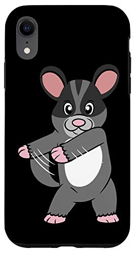 sugar glider flossing