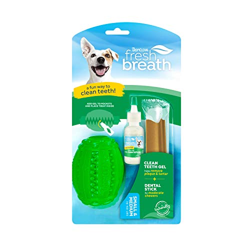 TropiClean Fresh Breath Fresh 'N Fun Dental Chew Toy for Small and Medium Dogs -
