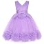 Purple Tulle