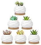 Luxspire Macetas Decorativas, Mini Macetas de Cerámica con Desagüé para Mesa de Comedor Sala de Estar Oficina y Jardín – Ondulación del Agua