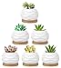 Luxspire Set di 6 Vasi per Succulenti, Mini Vaso da Fiori in Ceramica Bianca con Vassoio di bambù, Contenitori Vasi di Fiori per Piante Succulente Cactus Decorazione da Scrivania Tavolo