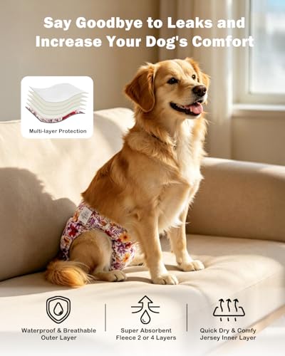Image of CuteBone Dog Diapers Female Washable Small Medium Large 3 Pack Reusable Doggie Diapers Puppy Period Pants for Doggy Heat Cycle Peeing