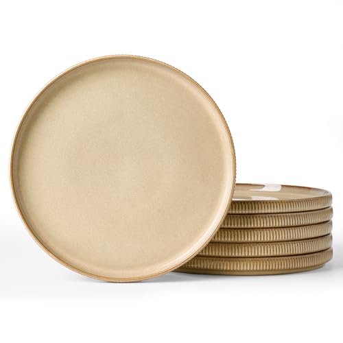 famiware Star 10/8 inches Dinner Plates Set for 6, Latte