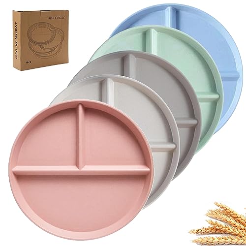 Top 10 Best Portion Control Plates For Kids To Buy Online Glory Cycles