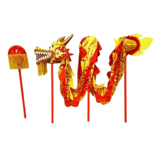 Costume de dragon chinois en satin 3M pour danse du dragon traditionnelle