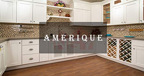 Amerique Luxury White Shaker Maple Solid Wood Vanity Cabinet 30", Solid Canadian Maple Wood Doors, European Soft Closing Drawers, Rta #TOP24