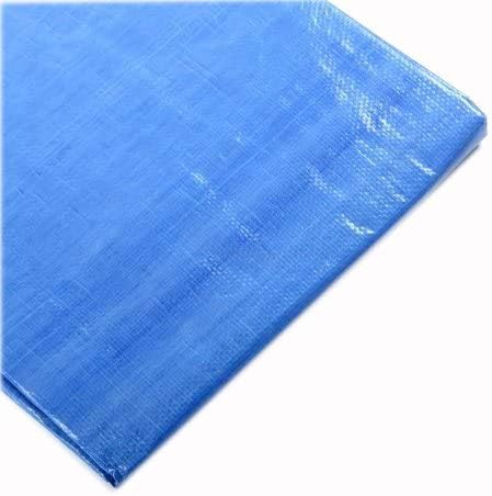 All Purpose Blue Tarp 15'x30'