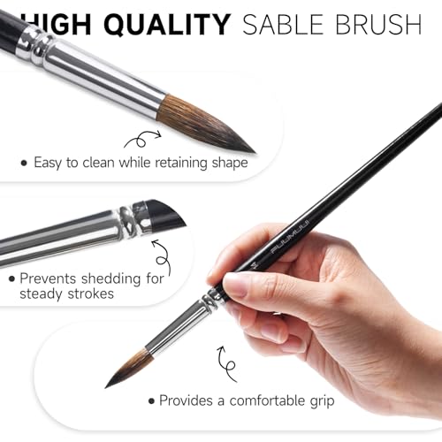 Image of Watercolor Brush Set, Fuumuui 7pcs Professional Sable Paint Brushes with Extended Needle, Round Point, Flat, Dagger, Cat's Tongue for Watercolor, Acrylic, Gouache - Detail & Wash Painting