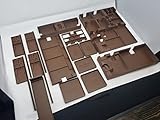 Insert for Lost Ruins of Arnak +Expansion with Individual Player Trays