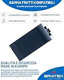 Bratek B0BVCT219B lato 4