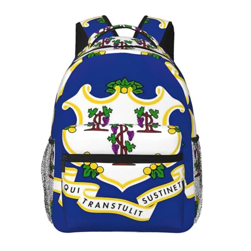 Mochila básica de Connecticut 20 x 29 x 40 cm casual para el día a día