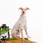 Dog Sweaters for Small Dogs Girls Boys, Striped Pet Sweaters for Fall Winter Dog Clothes, Turtleneck Pullover Knitwear for Small Medium Large Dogs - Image 3