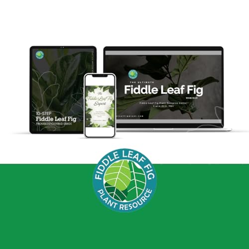 Fertilizador líquido Fiddle Leaf Fig Welcome Bundle miniatura 5