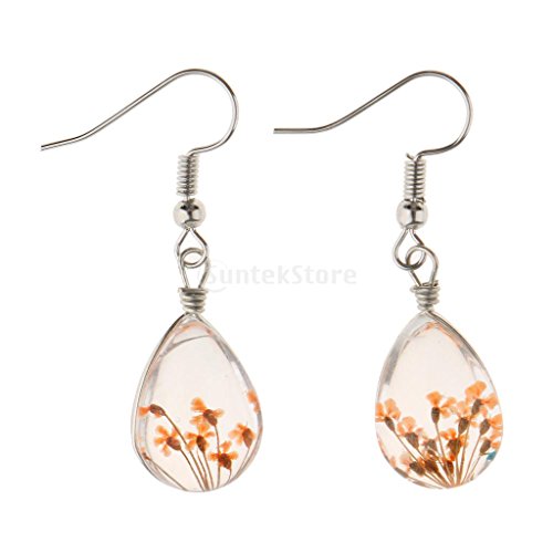 AMLESO 20 peças de flores secas coloridas prensadas para artesanato