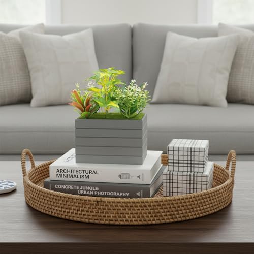 Image of KARP Artificial Potted Plants, 22Cm Height Mini Faux Succulent Flowers with Pot Home Decor, Indoor Artificial Ornamental Plants for Living Room, Office Desk & Bathroom, Decorative