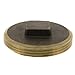 3" Brass Raised Head Cleanout Plug Pack of 20