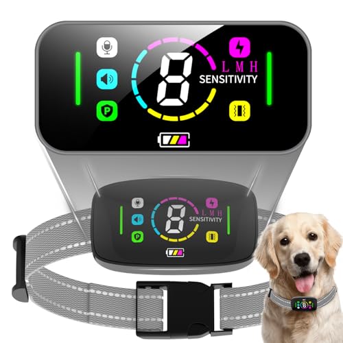 2025N ʖih~  ^p y gsgp SAI ʖih~  IP67h USB[d 8iK̊x+4̃[hZT[{戵iVo[j