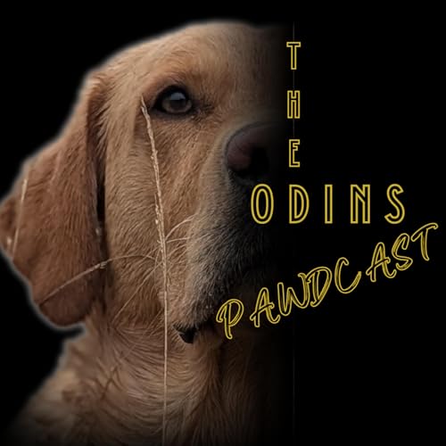 The Odin's Pawdcast copertina
