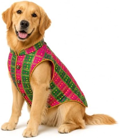 Dog Sherwani – Rang Mahal | Indian Wedding Outfit for Dogs | Ethnic Dog Clothes for Weddings, Haldi, Mehndi, Sangeet, Diwali & Festivals | Waggy Fits (4XL) — view 3