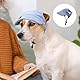 1 Stück Modisch Hund Baseballmütze, Basecap Verstellbar Sonnenschutz, Hunde-Sonnenhut mit Ohrlöcher, Haustier Sommer Hut für Kleine und Mittlere Hunde (L, Blau)