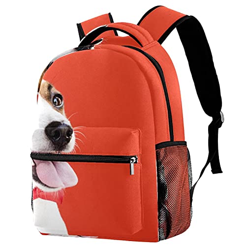 Sac à dos de voyage mignon à offrir pour la rentrée des enfants