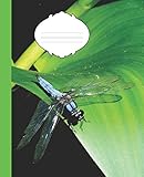  Pretty Green & Black Trim Cute Blue Dragonfly College-ruled Lined School Composition Notebook (COOL Dragonfly COVERS: Fun School Supplies & Stuff)