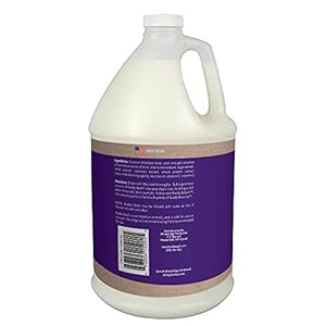 Buddy-Wash-2-in-1-Dog-Shampoo-and-Conditioner-for-Dog-Grooming-Lavender-Mint-1-gal-Bottle - Cucciolini Doodles   Buddy-Wash-2-in-1-Dog-Shampoo-and-Conditioner-for-Dog-Grooming-Lavender-Mint-1-gal-Bottle