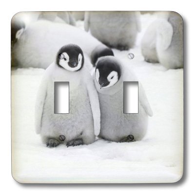 Interrupteur pingouins empereurs double a bascule de decoration 3dRose - 4