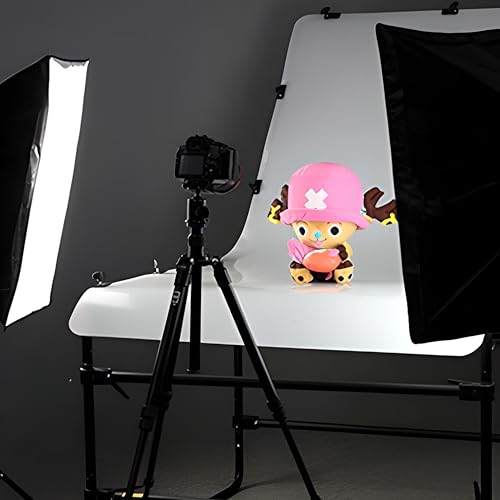 Retoo Softbox Fotostudio Set mit 2 x 135W Fotolampen und 2 x Faltbare Lampenstativs, Beleuchtung für Porträts, Produktfotografie und Videoaufnahme, Reflektors mit Tragetasche