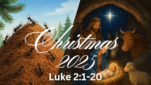 Luke 2:1-20 | Christmas 2025
