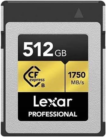 Lexar Professional 128GB CFexpress Type B Memory Card, Up To 1750MB/s Read, Raw 4K Video Recording, Supports PCIe 3.0 and NVMe (LCFX10-128CRBNA)
