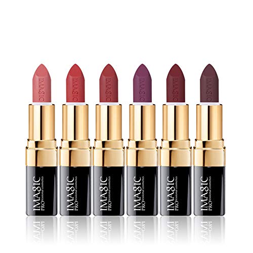 CCbeauty 6 Colors Lipsticks Set Matte for Girls Women Waterproof Long-Lasting Moisturizing Makeup Lipsticks,Nude and Natural Color Dark
