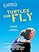 Turtles Can Fly