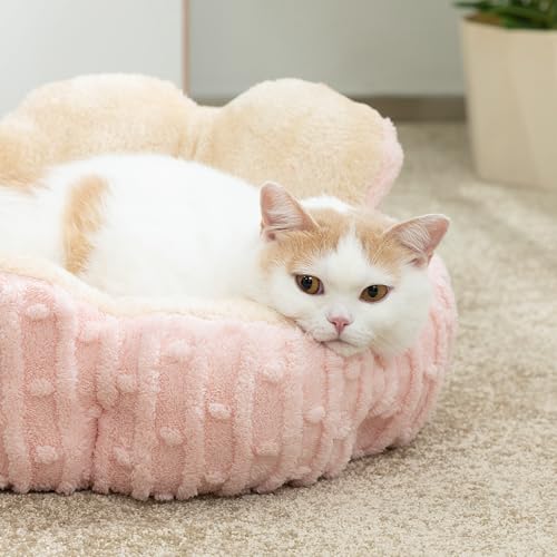 Hollypet Calming Cat Beds For Indoor Cats - Cute Cactus Pet Beds, Fluffy Puppy Bed, Non-Slip Extra Small Dog Bed thumb #4