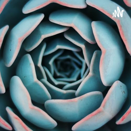 相遇，是世间最美好的事 Podcast Por lifang arte de portada