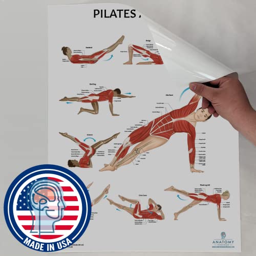 Image of Anatomy Lab Pilates Anatomy Poster, LAMINATED, Pilates Wall Chart | 17.3 x 22.5 Inches, Anatomy and Physiology, Wall Pilates Exercise Chart, Workout Poster