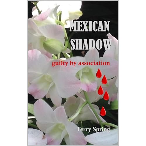 Mexican Shadow Audiolibro Por Terry Spring arte de portada